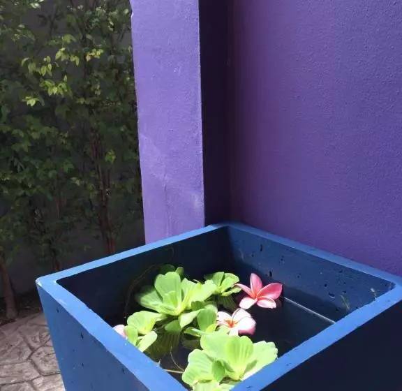 پانسیون Buorana