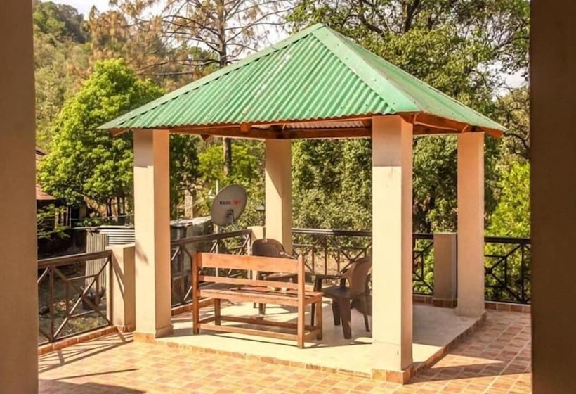 پانسیون The Camphor Tree Pura Stays