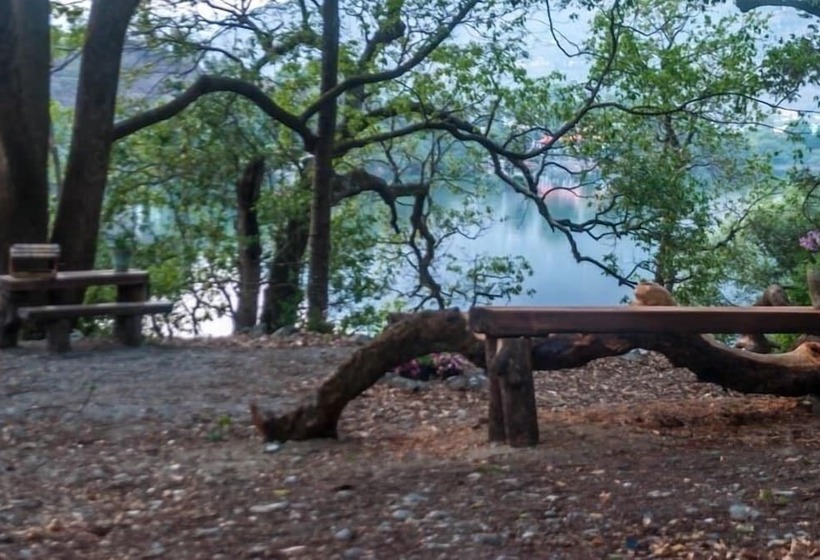 پانسیون The Camphor Tree Pura Stays