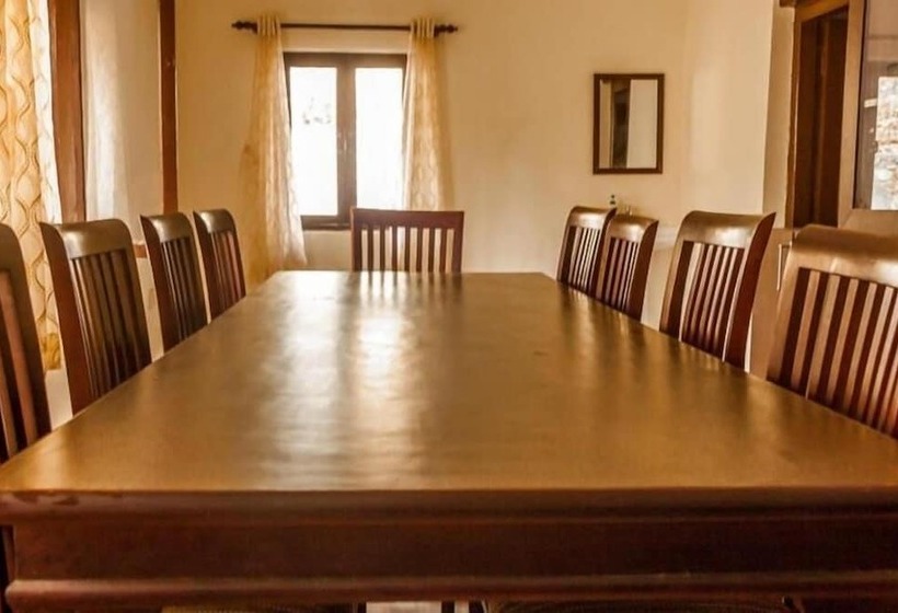 پانسیون The Camphor Tree Pura Stays