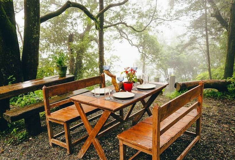 پانسیون The Camphor Tree Pura Stays