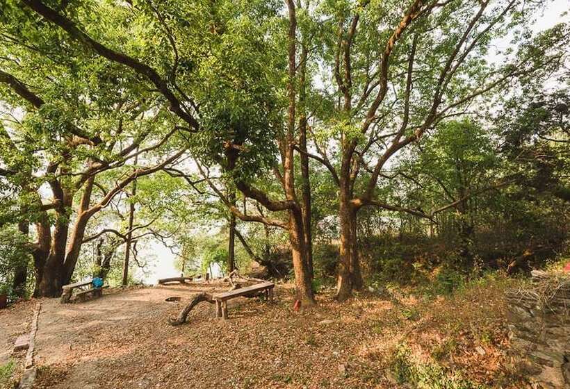 پانسیون The Camphor Tree Pura Stays