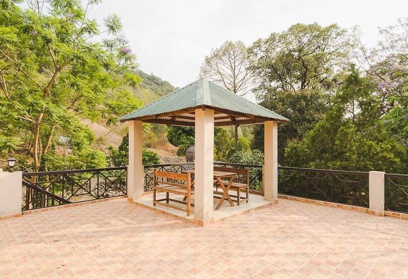 پانسیون The Camphor Tree Pura Stays