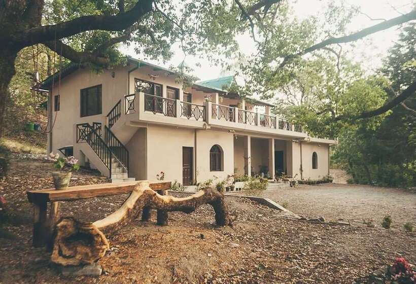 پانسیون The Camphor Tree Pura Stays