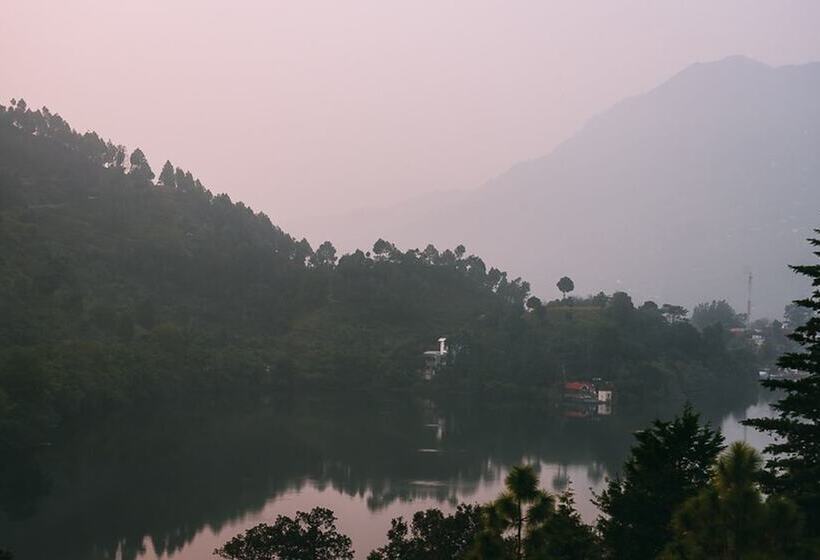 پانسیون The Camphor Tree Pura Stays