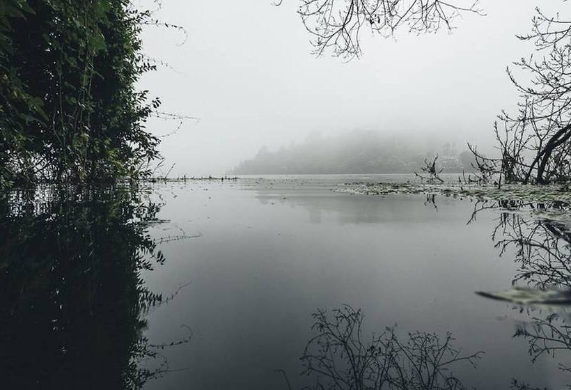 پانسیون The Camphor Tree Pura Stays