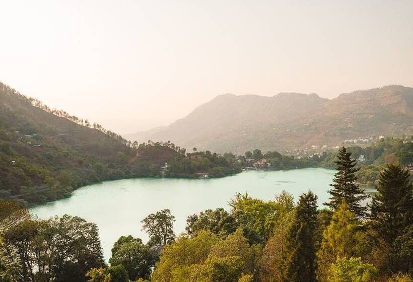 پانسیون The Camphor Tree Pura Stays