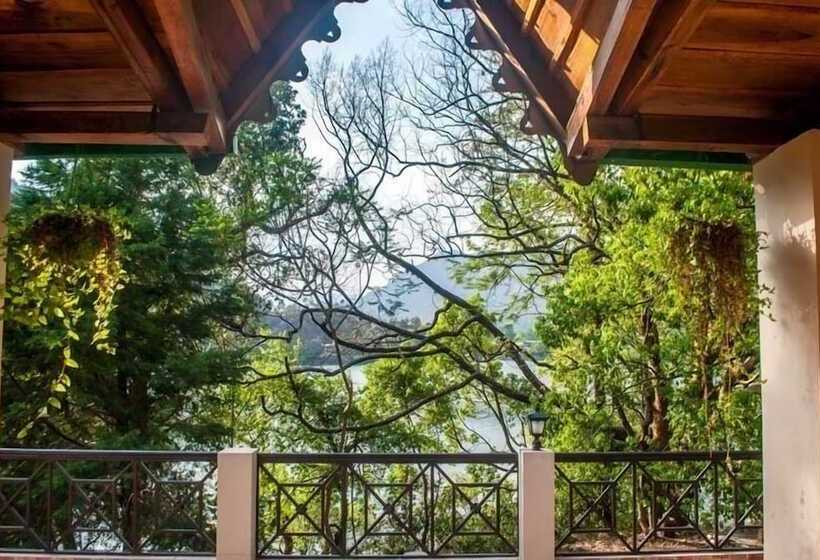 پانسیون The Camphor Tree Pura Stays