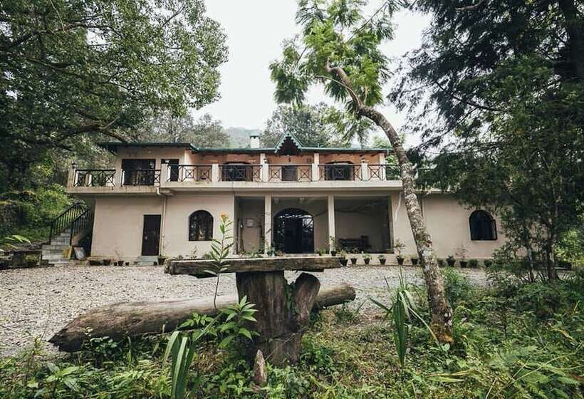 پانسیون The Camphor Tree Pura Stays