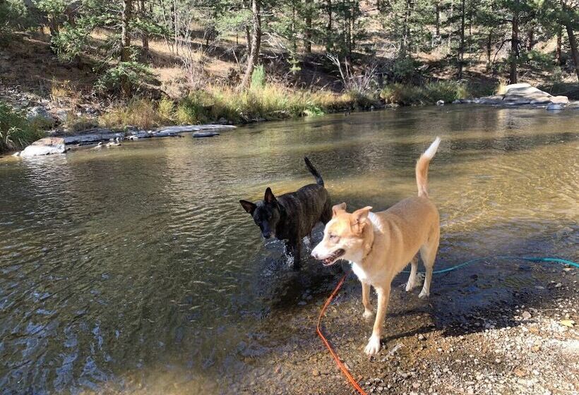 The Woolly Bugger Inn