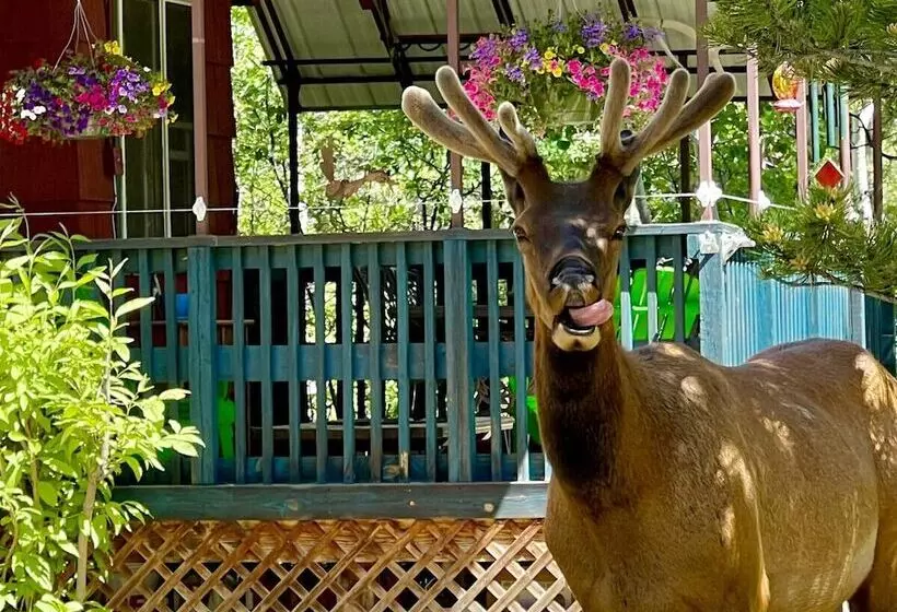 The Woolly Bugger Inn