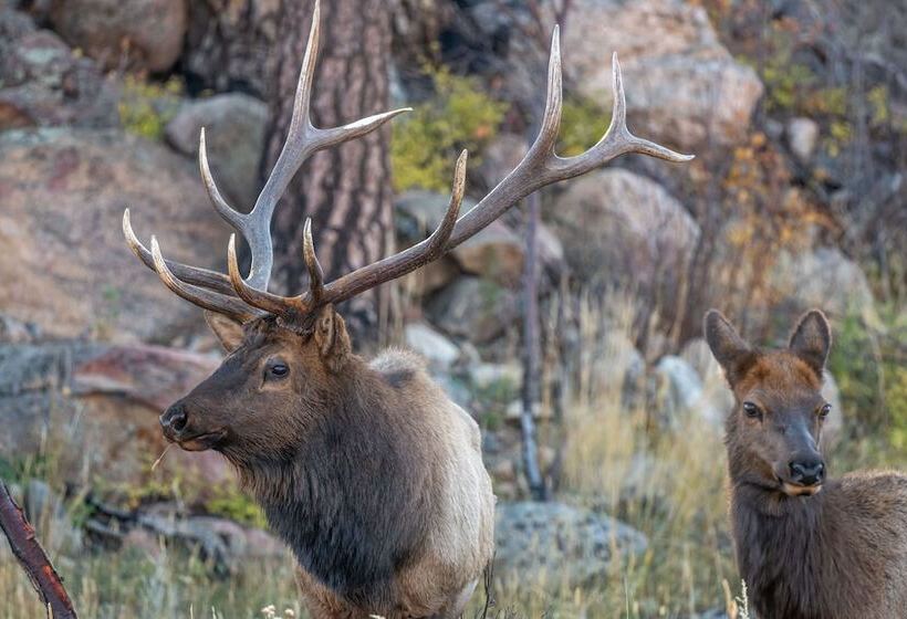 The Woolly Bugger Inn