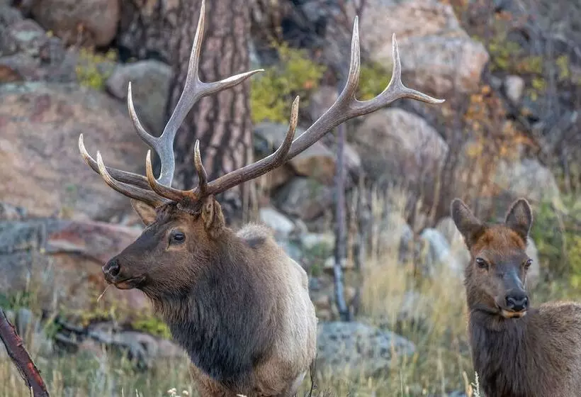 The Woolly Bugger Inn