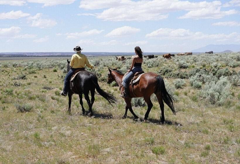 ホテル Zion Glamping Adventures