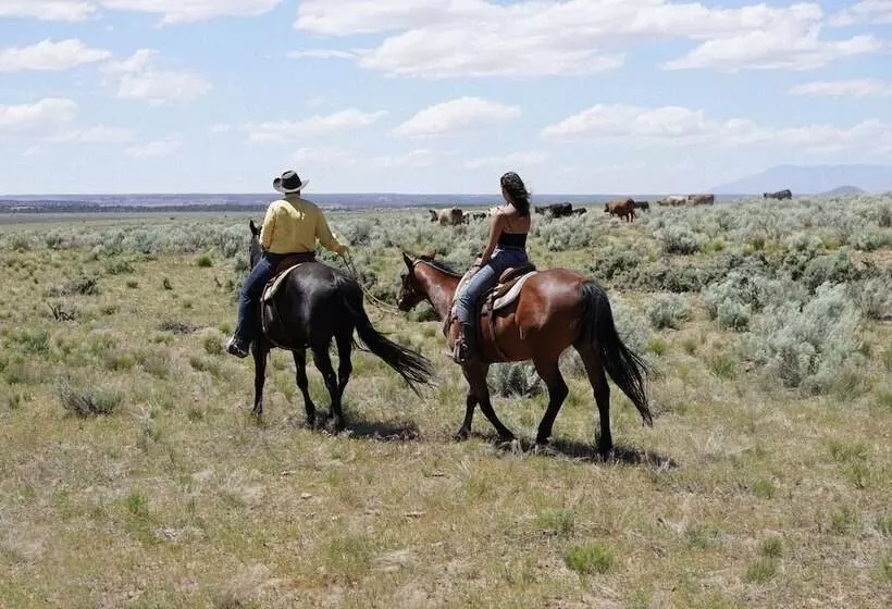 Hotelli Zion Glamping Adventures