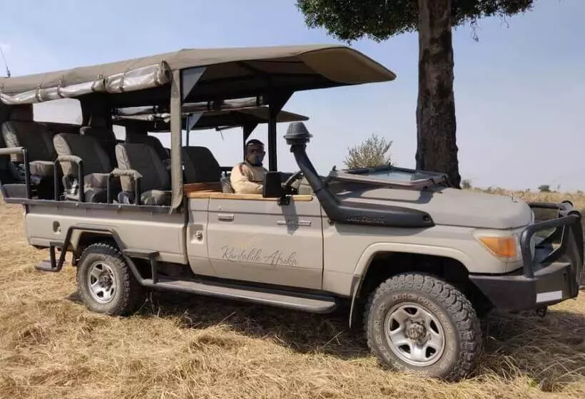 هتل Aurari Camp