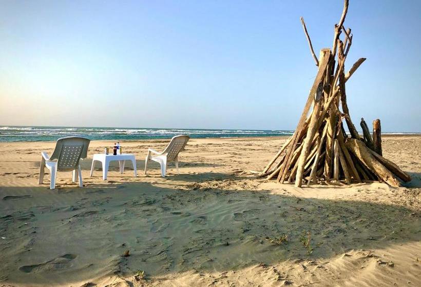 هتل Playa Luna Full Board