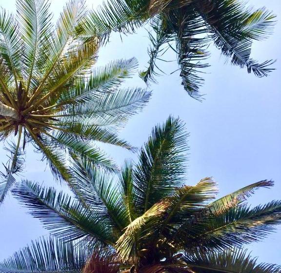 هتل Playa Luna Full Board