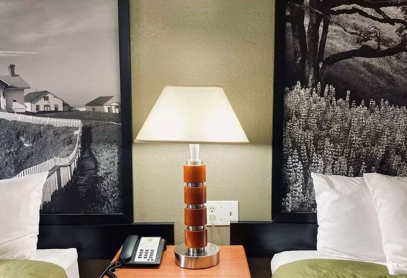 فندق Super 8 By Wyndham Colorado Springs/afa Area