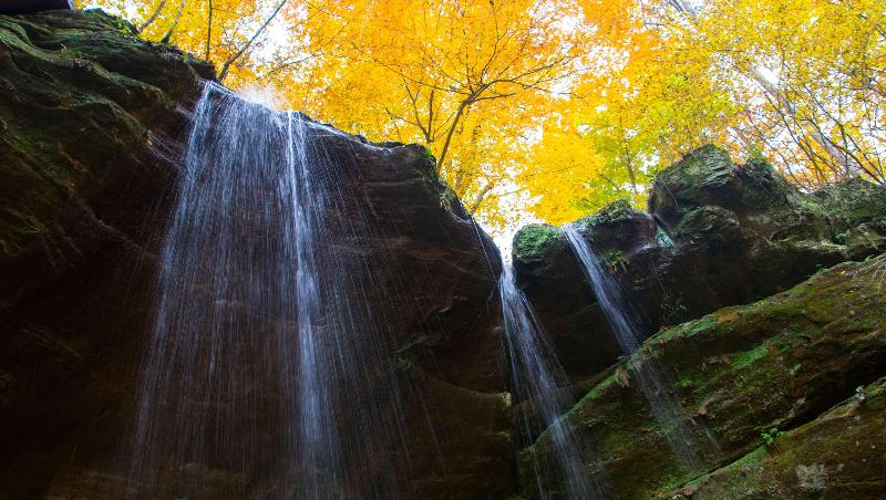 בית מלון כפרי Surrey Inn Ashland