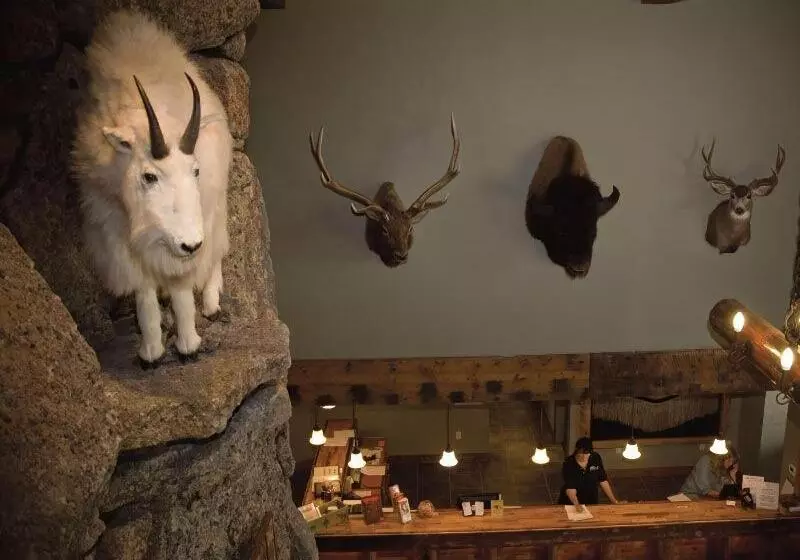 Отель Three Bear Lodge