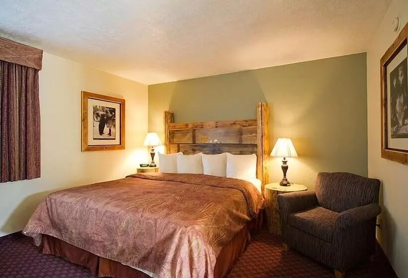 Отель Three Bear Lodge