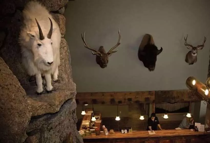 Отель Three Bear Lodge