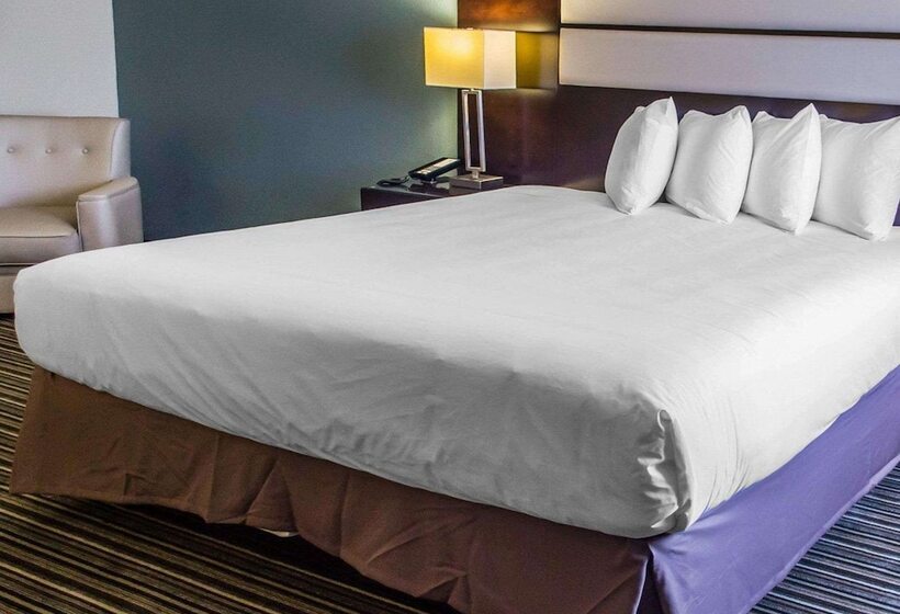 汽车旅馆 Quality Inn