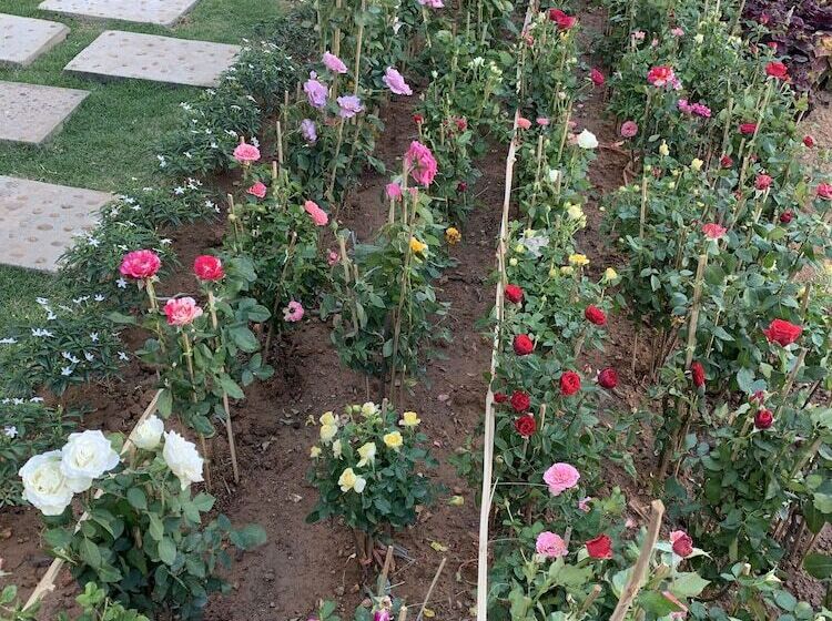 Intanou Boutique Hotel Kampot