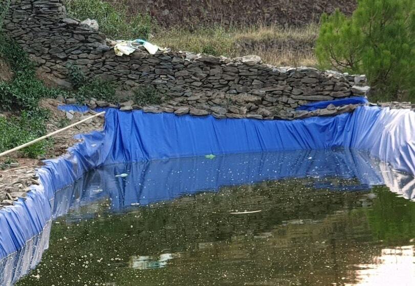 Hotel Bsr Farms Resort