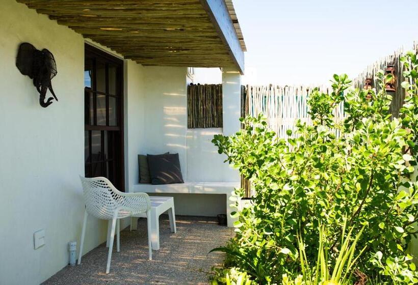 بنسيون Gonana Guesthouse