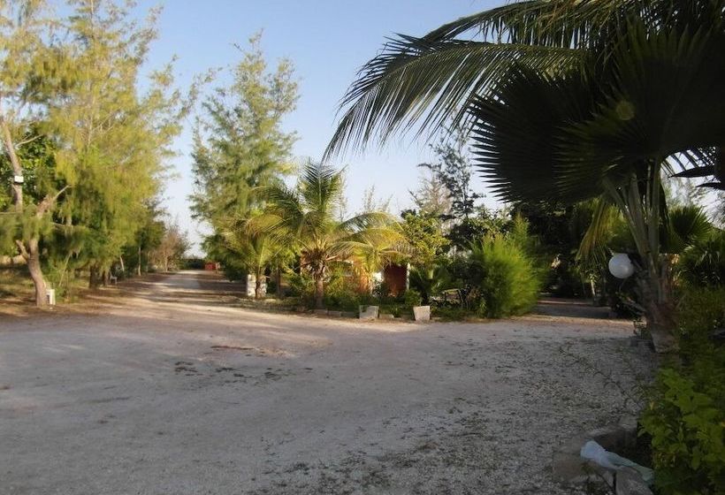 Pension (Hôtel basse catégorie) Manon Des Sources