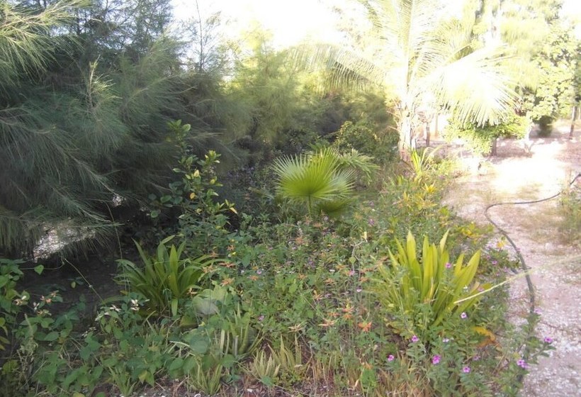 Pension (Hôtel basse catégorie) Manon Des Sources