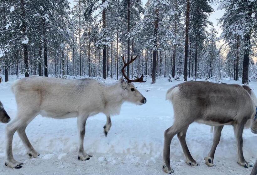 Kuusirinne 2b  A Cozy Cabin Near The Slopes Of Ruka