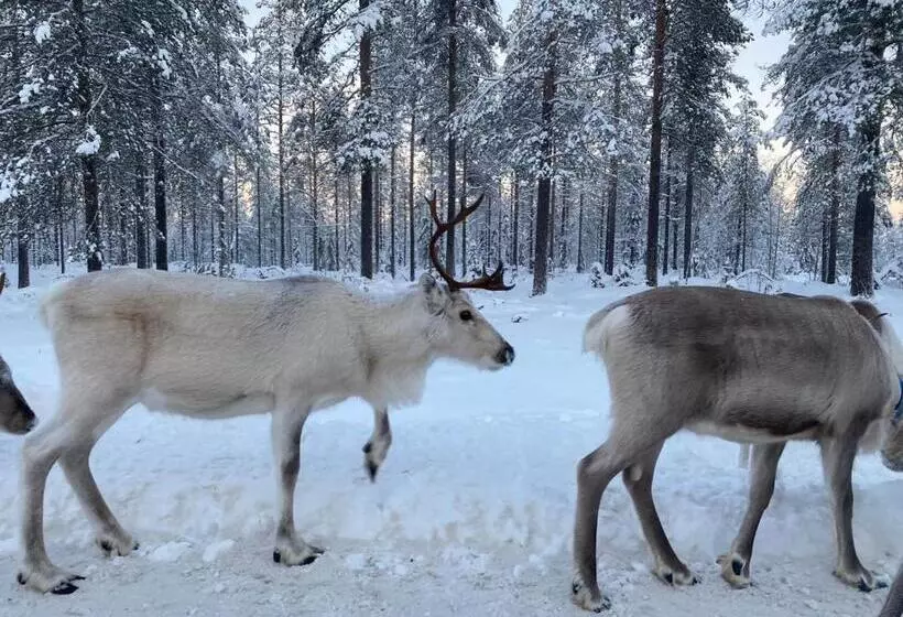 Kuusirinne 2b  A Cozy Cabin Near The Slopes Of Ruka