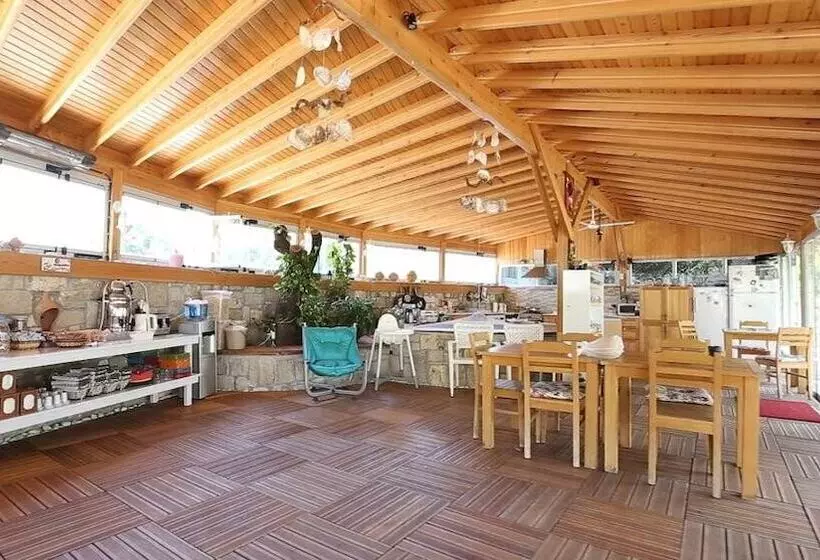 Aamiaismajoitus (B&B) Rota