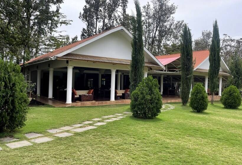 호텔 Amani Safari Lodge