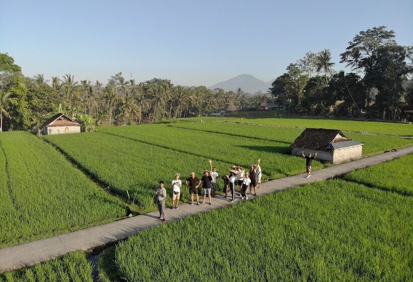 膳宿费 Bakungan Dijero Homestay