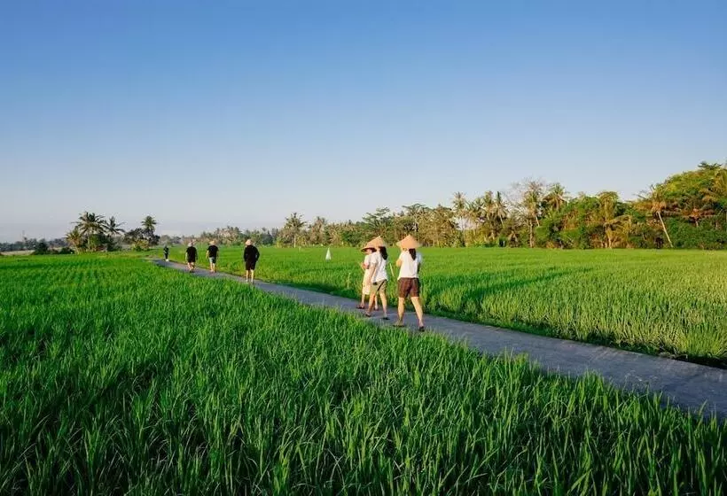 پانسیون Bakungan Dijero Homestay