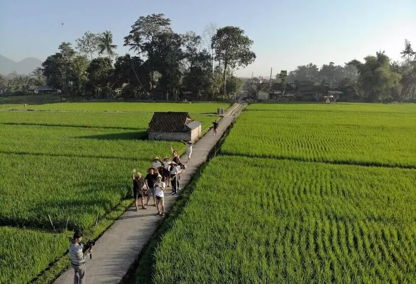 پانسیون Bakungan Dijero Homestay