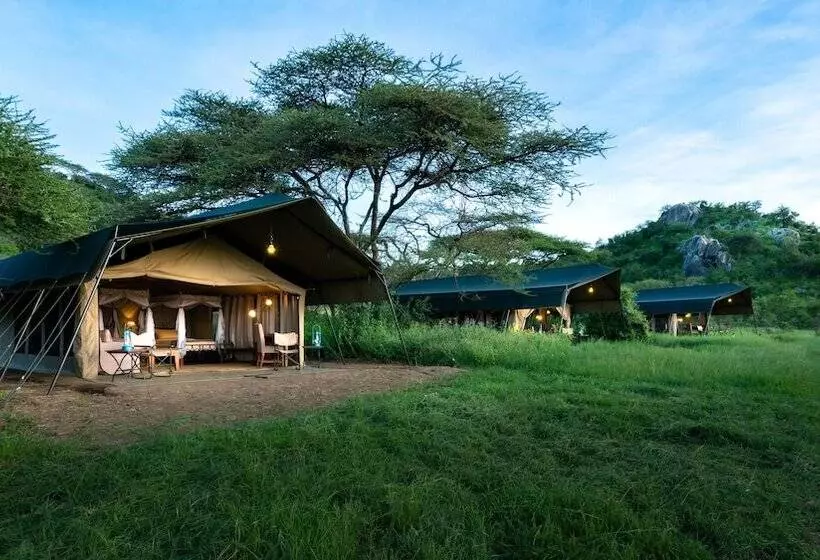 هتل Serengeti Woodlands Camp