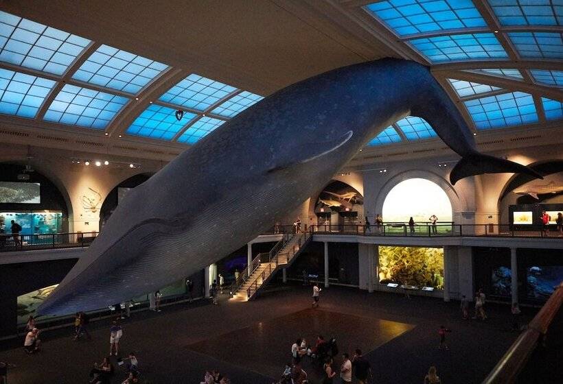 酒店 5th & 55th Residence Club