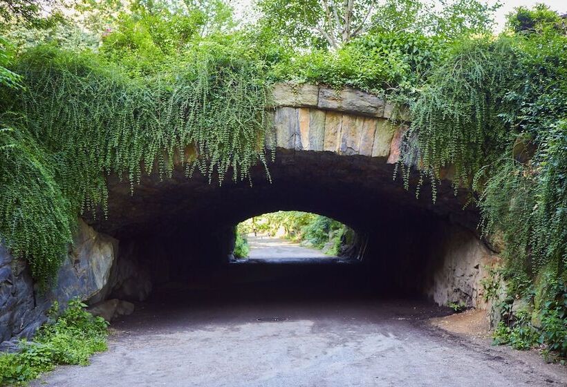 酒店 5th & 55th Residence Club