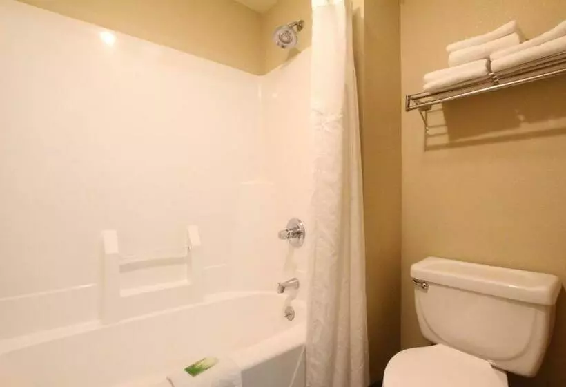 호텔 Holiday Inn Express & Suites Chicago Libertyville, An Ihg