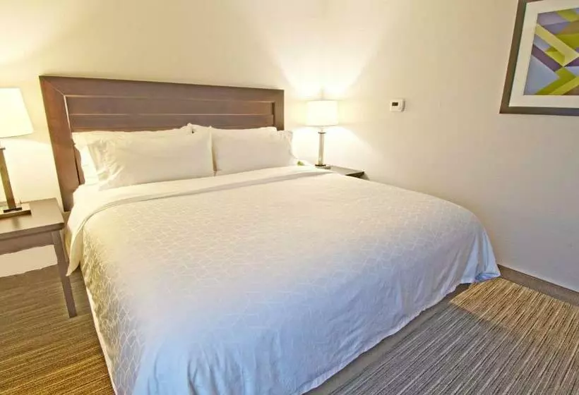 호텔 Holiday Inn Express & Suites Chicago Libertyville, An Ihg