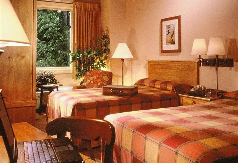 酒店 Unicoi State Park & Lodge