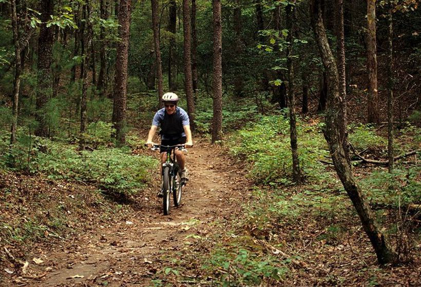 Szálloda Unicoi State Park & Lodge