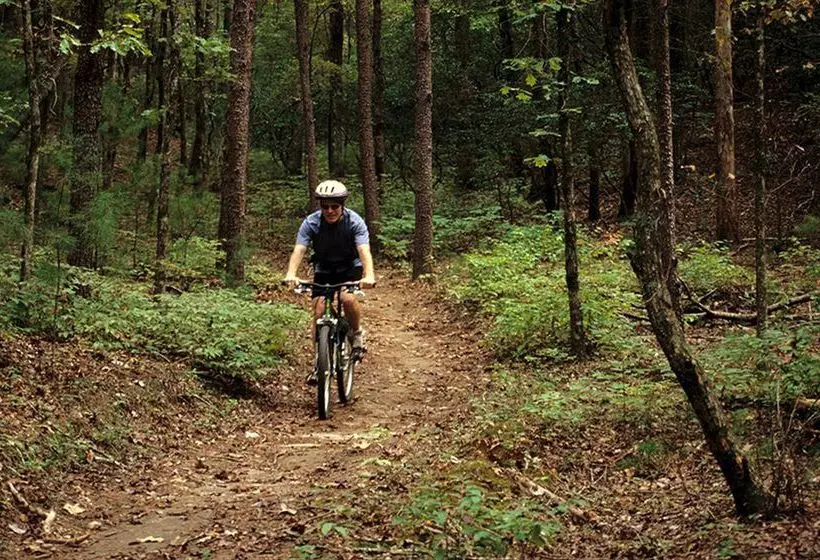 酒店 Unicoi State Park & Lodge