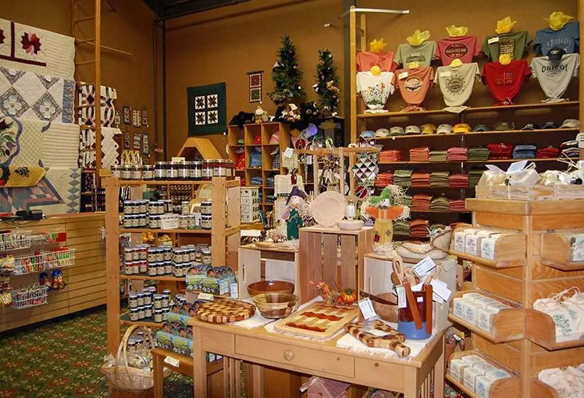 酒店 Unicoi State Park & Lodge