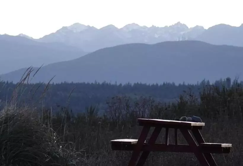 מוטל Tides Inn & Suites